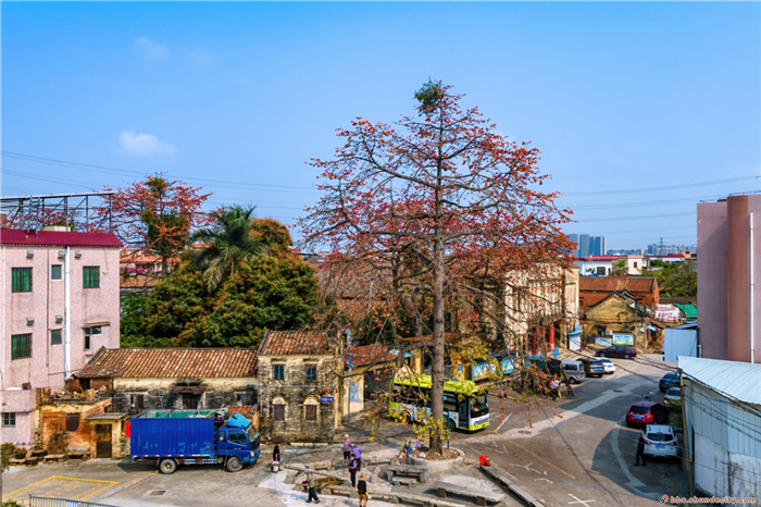 shundeplus/images/article/2021/03/18/78f0420210318152211876898.jpg 094456ljottwp8w3thzht2.jpg