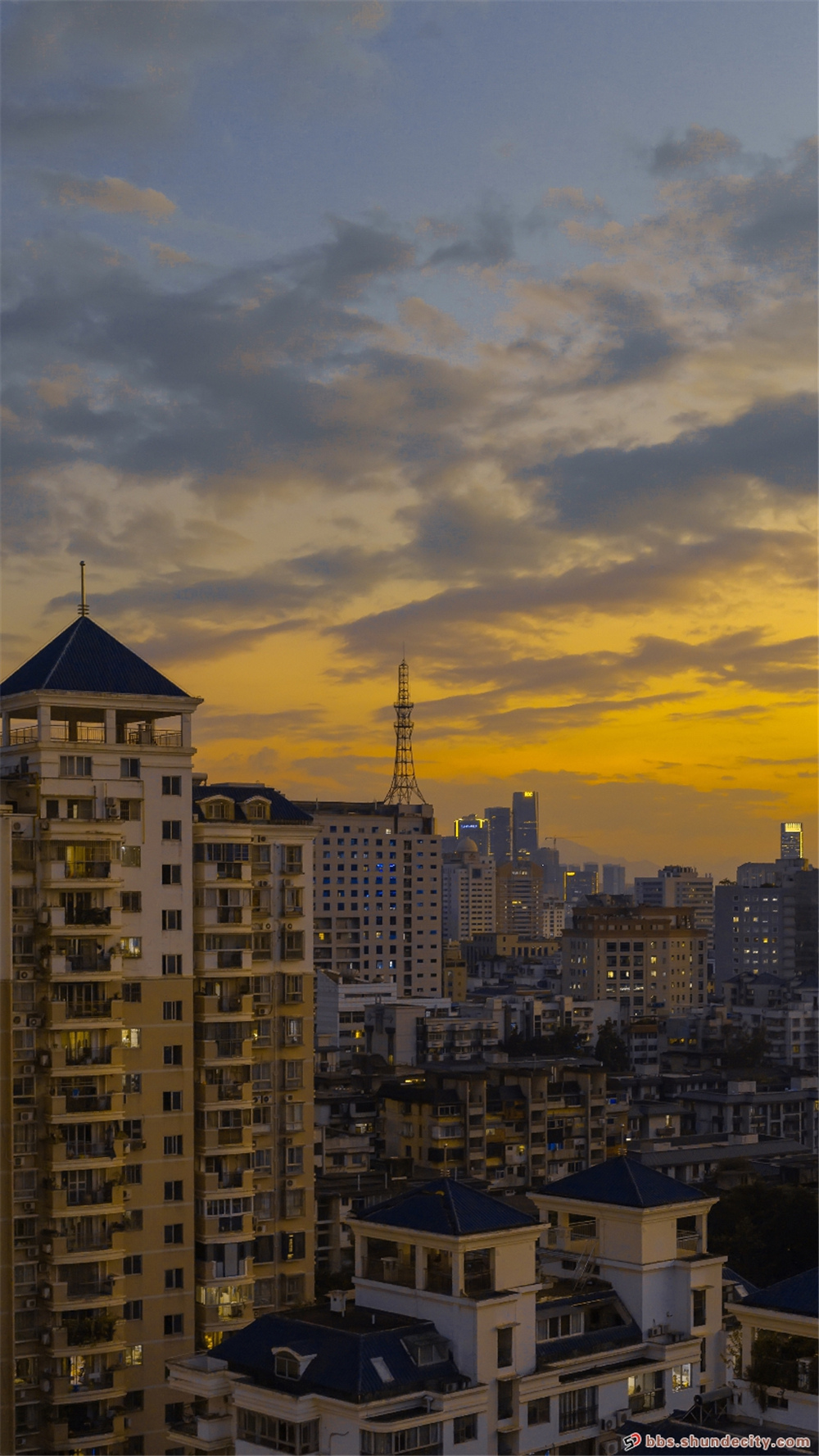 072236rlauonpzmml2d25m.jpg