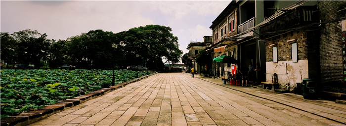 savanna 千石长街.jpg