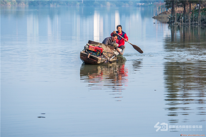 shundeplus/images/article/2021/07/14/dfa022021071418531625321.jpg 五个轮.jpg