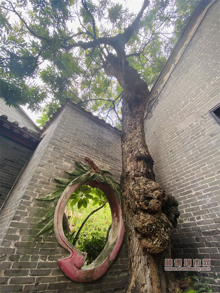 微信图片_20210906114856.jpg