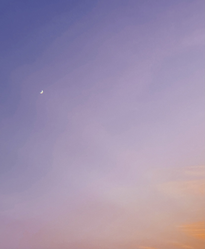 shundeplus/images/article/2021/09/30/e126a20210930170406112017.jpg 图4自己的图.jpg