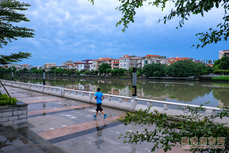7伦教滨江公园景色宜人，十分舒适。_1.jpg