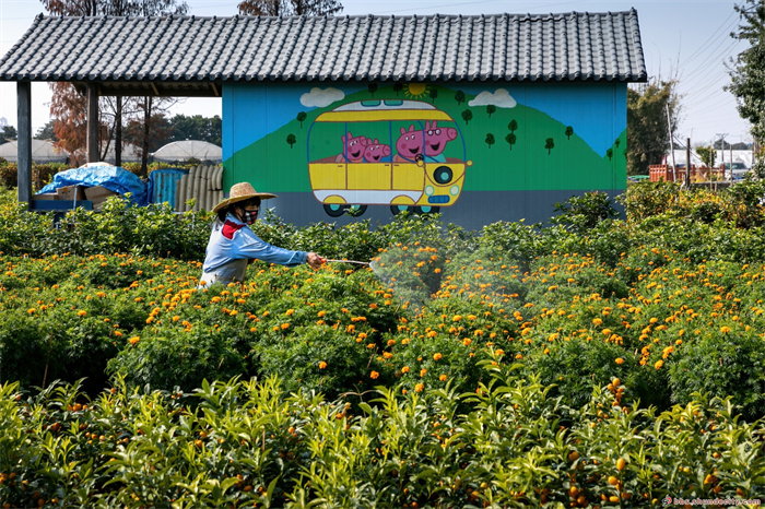 shundeplus/images/article/2021/11/08/7f5c920211108143501761335.jpg 陈村.jpg