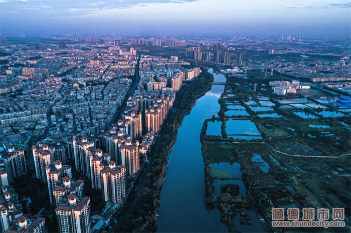 成群白鹭吟赞歌大良探路揭秘顺德水乡魅力