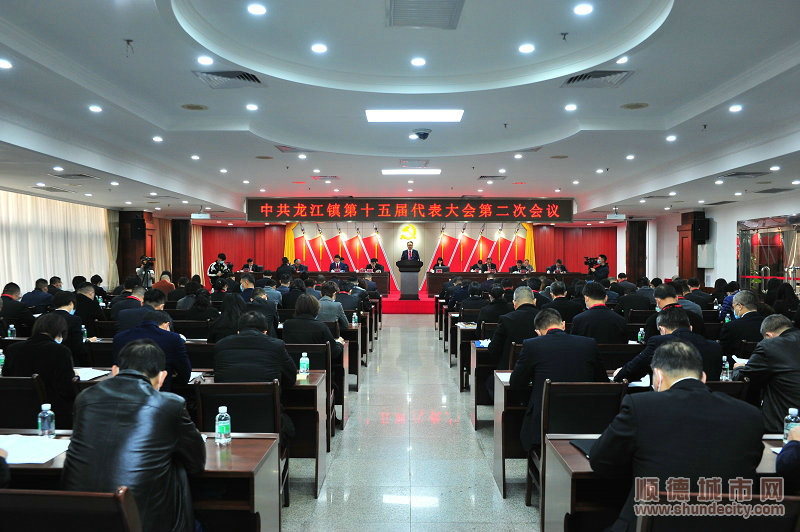 中共龙江镇第十五届代表大会第二次会议在龙江镇政府举行。.jpg