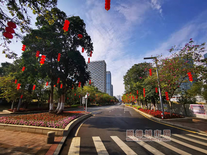 shundeplus/images/article/2022/01/21/8bf9420220121145008185968.jpg 天宁路口导流岛种植时花 (2)_副本.jpg