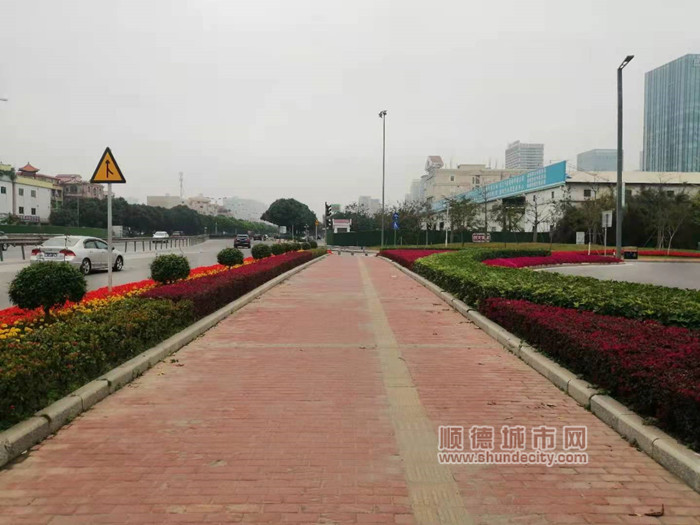 shundeplus/images/article/2022/01/21/97dae2022012114475131282.jpg 美的大道入口时花 (1)_副本.jpg