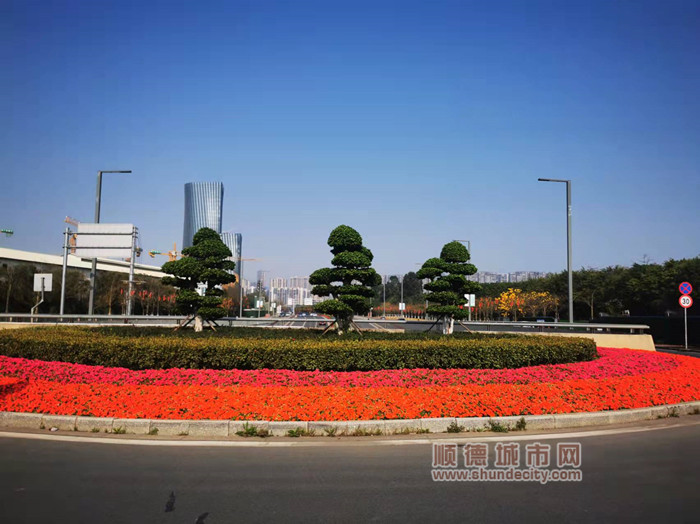 shundeplus/images/article/2022/01/21/a7c0620220121144741120902.jpg 美的大道入口时花 (2)_副本.jpg