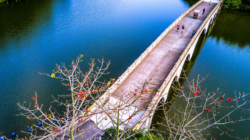 李小龍樂園3.jpg