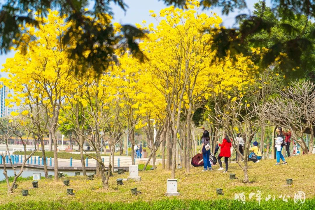 微信圖片_20220315130232.jpg