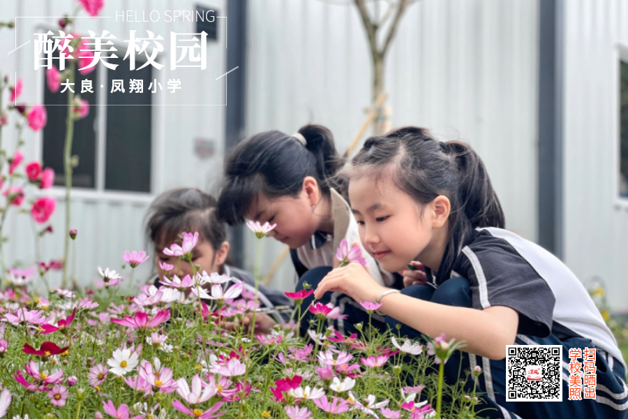 春分节气问候祝福春天你好横版海报_副本(1)_副本_副本 (1).jpg