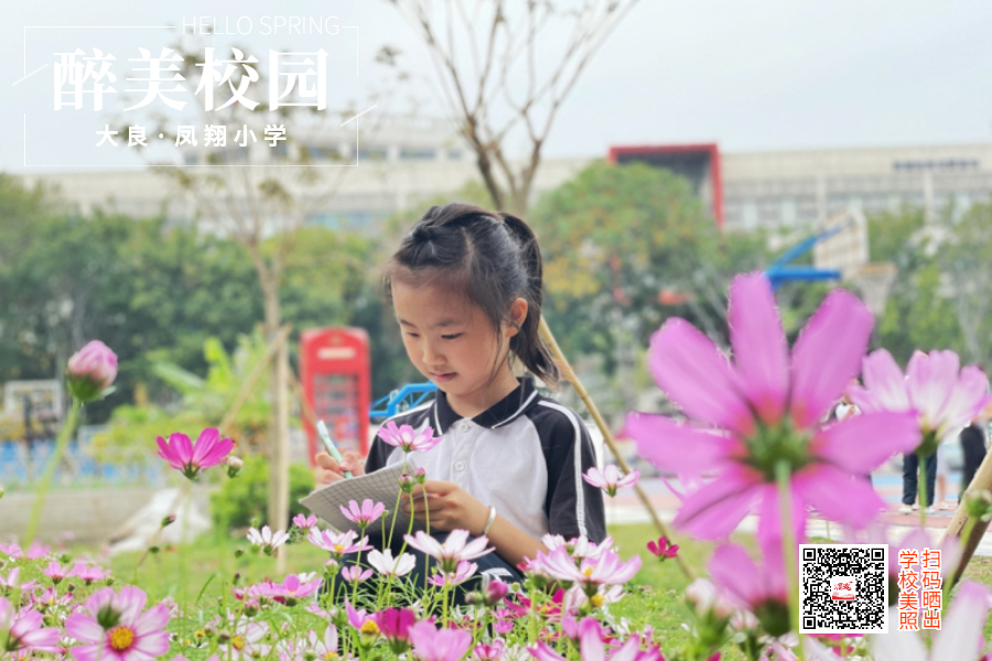 春分节气问候祝福春天你好横版海报_副本(1)_副本_副本 (2).jpg