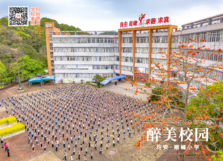 春分节气问候祝福春天你好横版海报_副本_副本.jpg