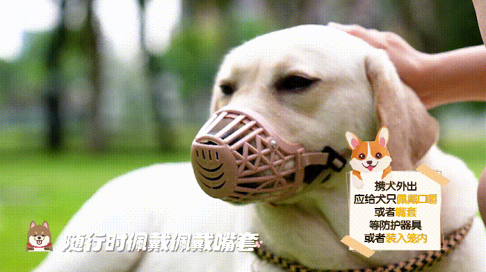 图3.png