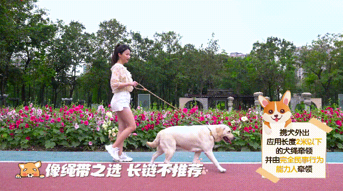 图4.png