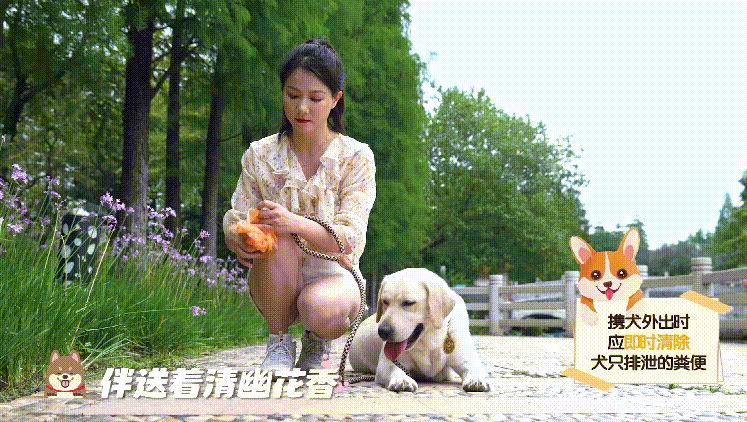 图5.png