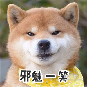 6221320633816dd9884893e28c453c54.jpeg