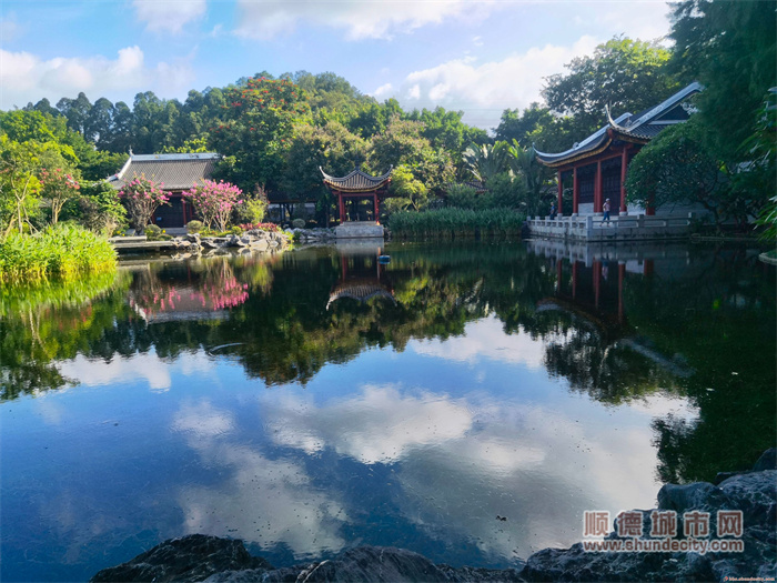 雨后晴朗，藍天白云下的汀芷園更美！ 健康快樂2.jpg