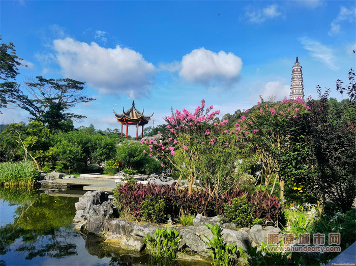 雨后晴朗，藍天白云下的汀芷園更美！ 健康快樂6.jpg