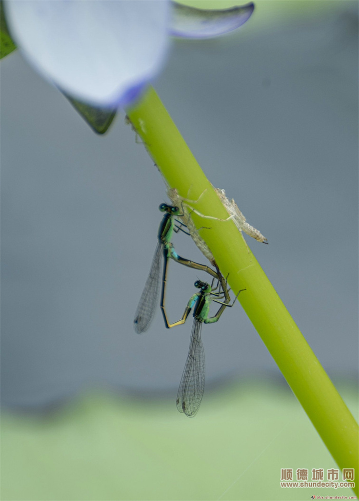 063905fryvzkyqwcaeoahn.jpg
