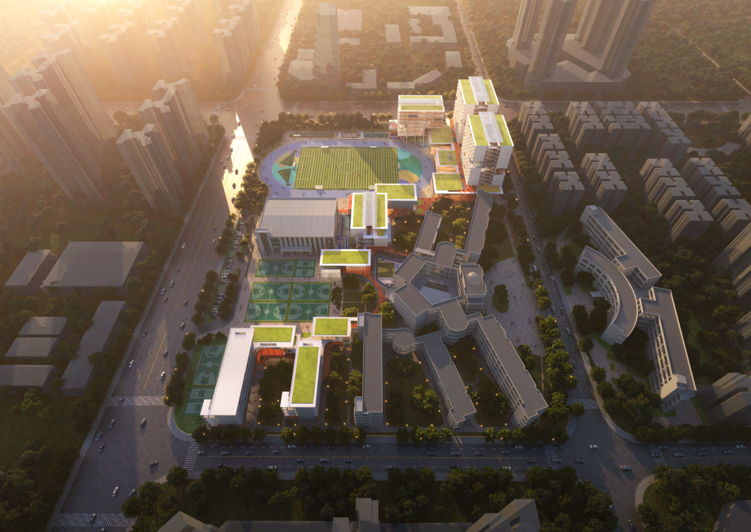 shundeplus/images/article/2022/09/03/0e81620220903105228836607.jpg 82.png