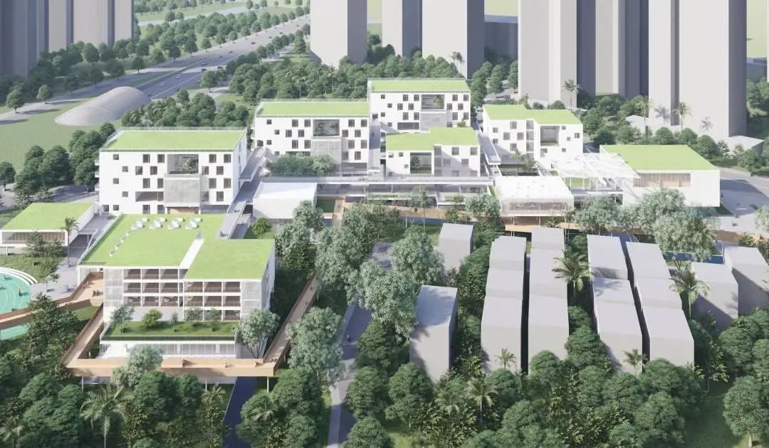 shundeplus/images/article/2022/09/03/1ae9720220903103325556528.jpg 82.jpg