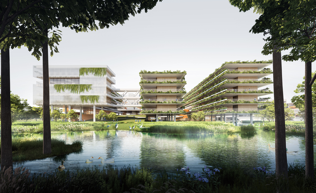 shundeplus/images/article/2022/09/03/4edeb20220903100950921924.jpg 42.png