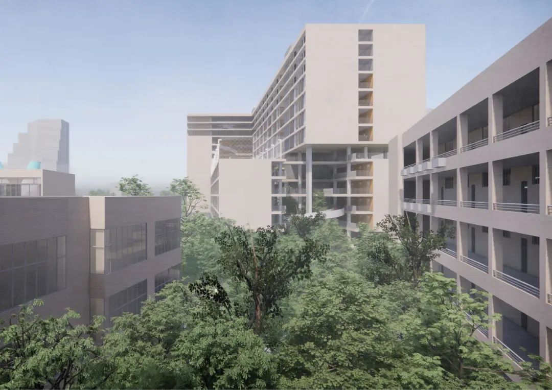 shundeplus/images/article/2022/09/03/551f5202209031059454672.jpg 63.jpg