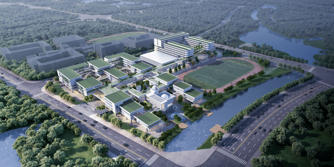 shundeplus/images/article/2022/09/03/57e9120220903101018796986.jpg 51.png