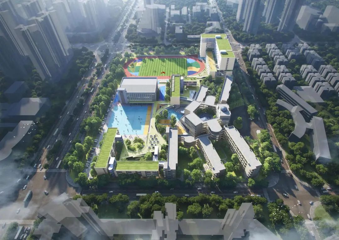 shundeplus/images/article/2022/09/03/5c18320220903105936746088.jpg 62.jpg