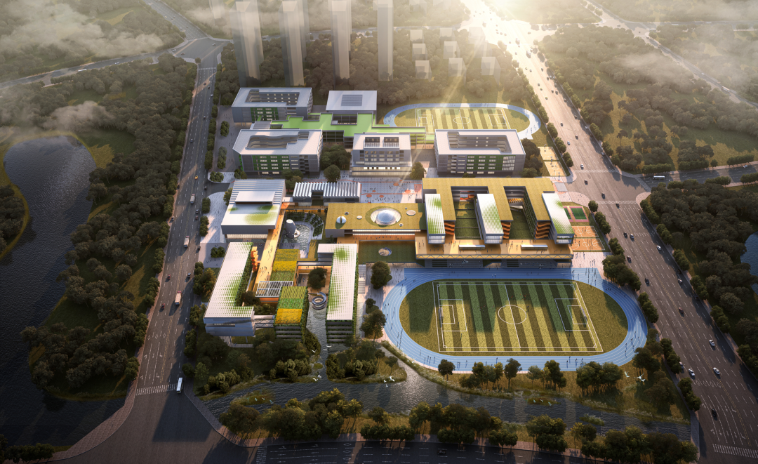 shundeplus/images/article/2022/09/03/871bc20220903100940851266.jpg 41.png