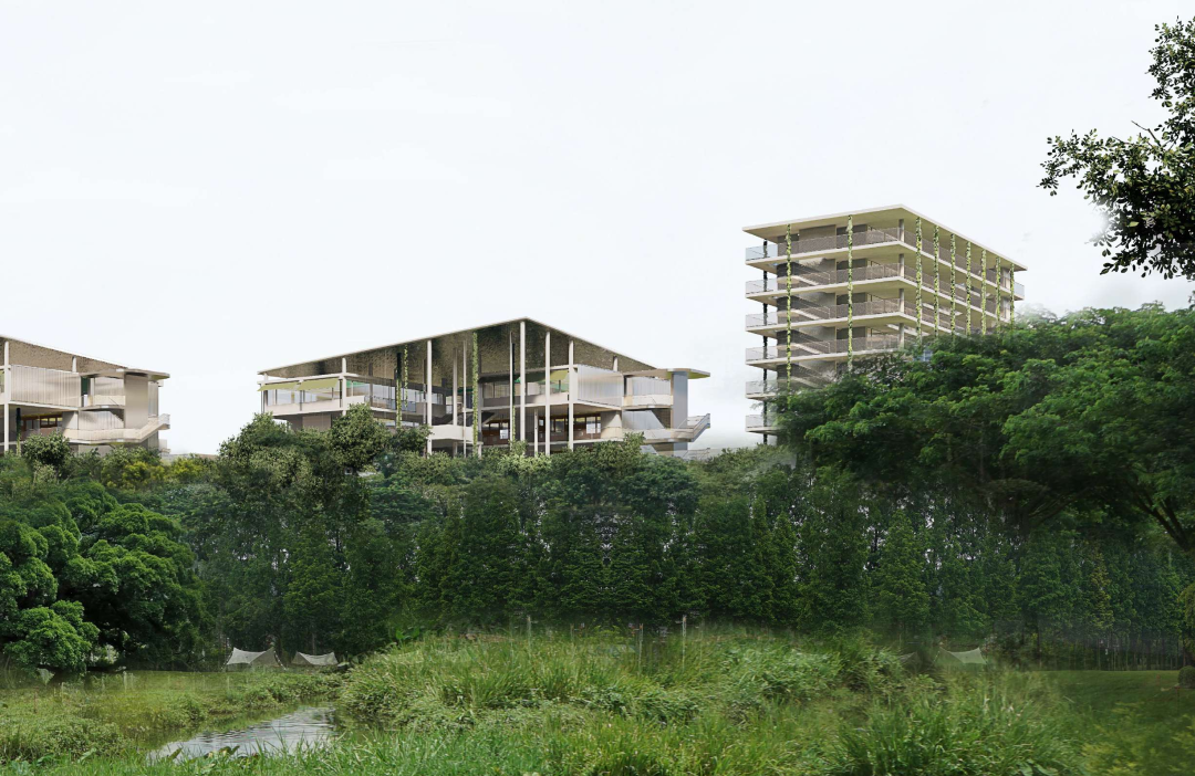 shundeplus/images/article/2022/09/03/abe5120220903103412427141.jpg 92.png