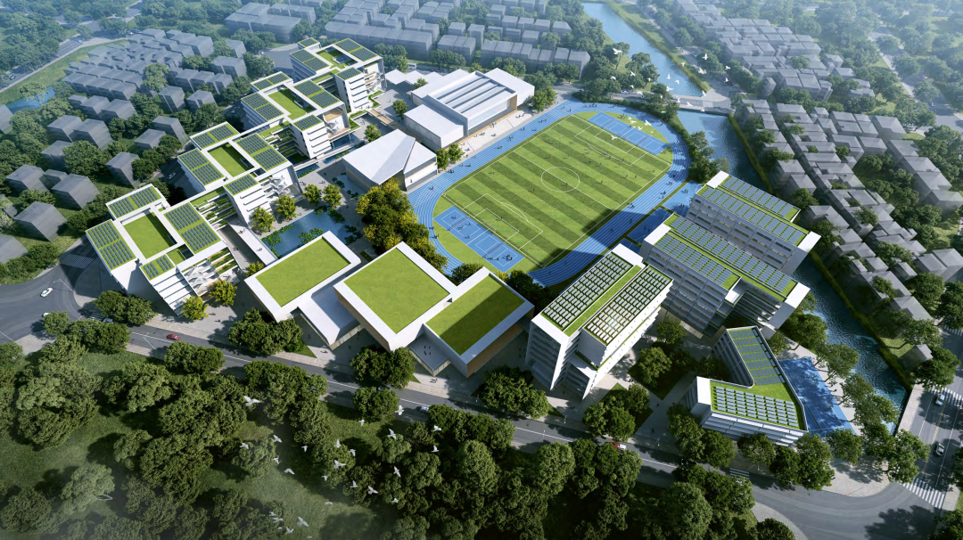 shundeplus/images/article/2022/09/03/b18cc20220903095836664761.jpg 31.png