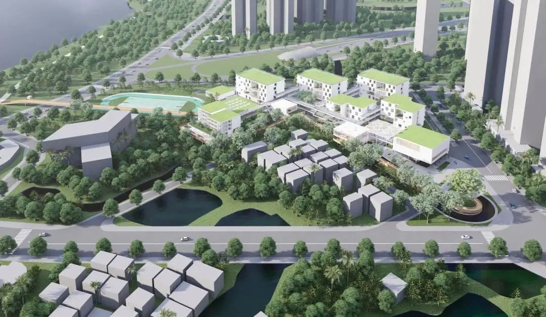 shundeplus/images/article/2022/09/03/d6a9320220903103310611234.jpg 81.jpg