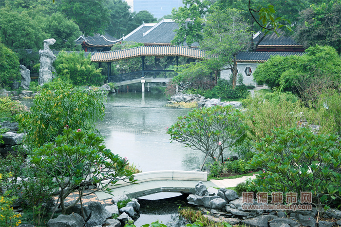 初冬的顺峰公园 阳光与鹿43.jpg