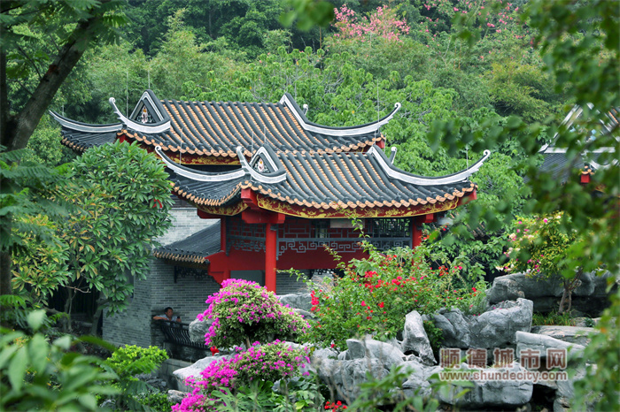 初冬的顺峰公园 阳光与鹿2.jpg