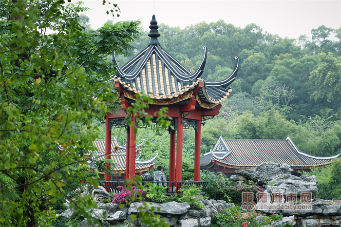 初冬的顺峰公园 阳光与鹿1.jpg