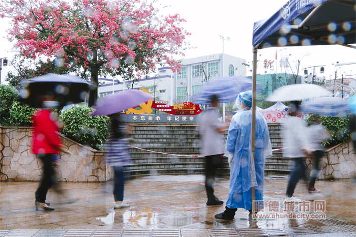 11.26陽光與鹿 雨中檢測.jpg
