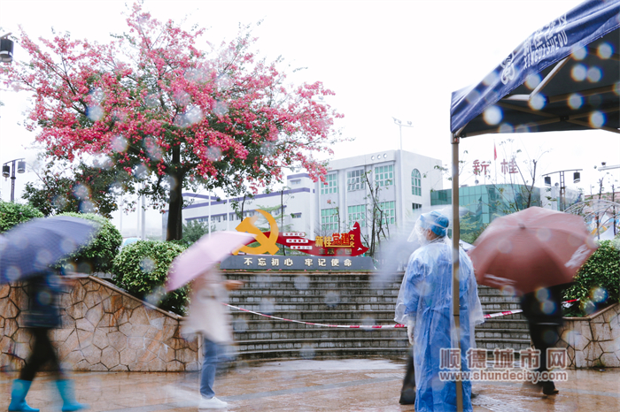 11.26陽光與鹿 雨中檢測1.jpg