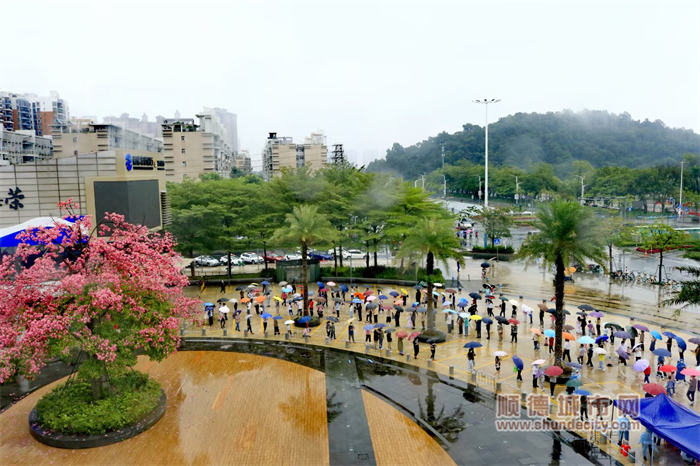 旭日東升 11.25  1.jpg