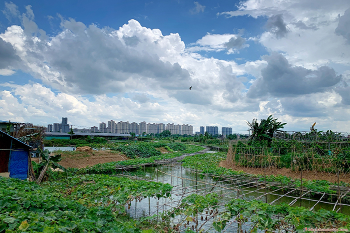 shundeplus/images/article/2022/11/28/7cc3d20221128153029852065.jpg 阳光与鹿.jpg