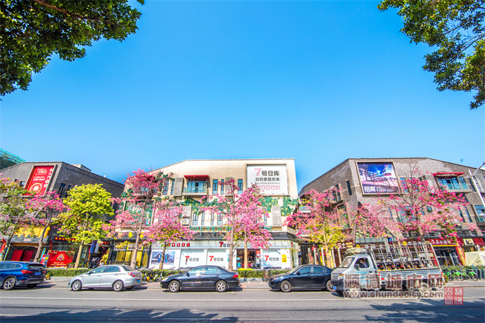 12.10 杏壇風景 梅佛田1.jpg