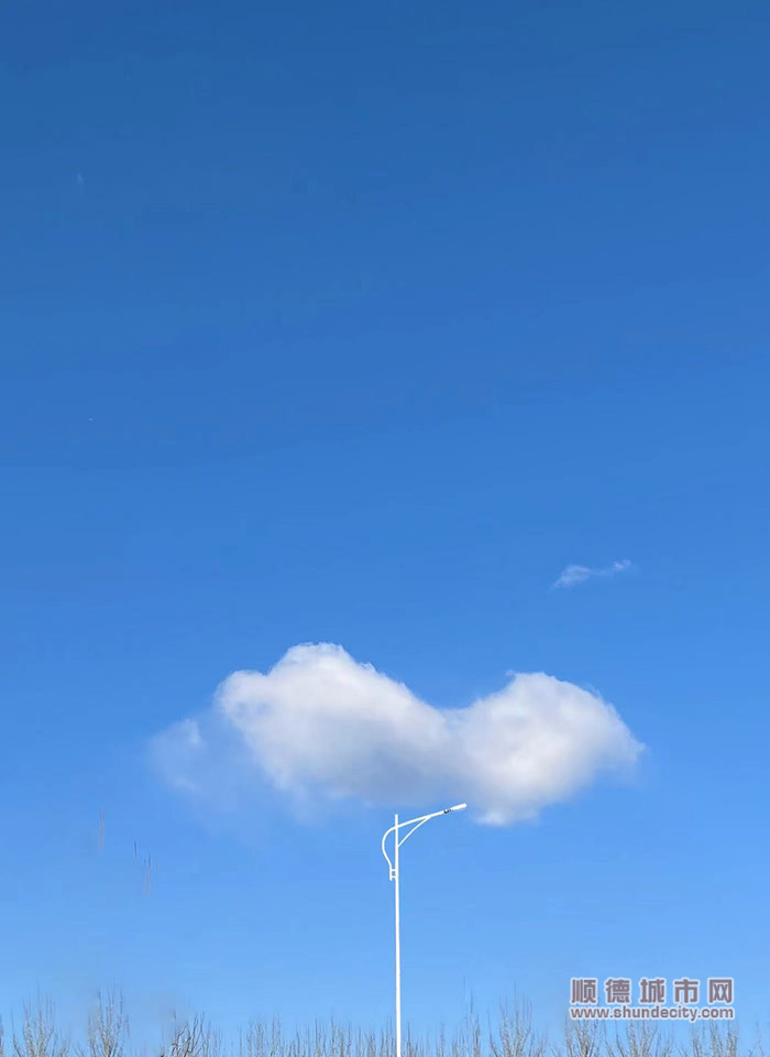 15b7e202212221671683677440_副本.jpg