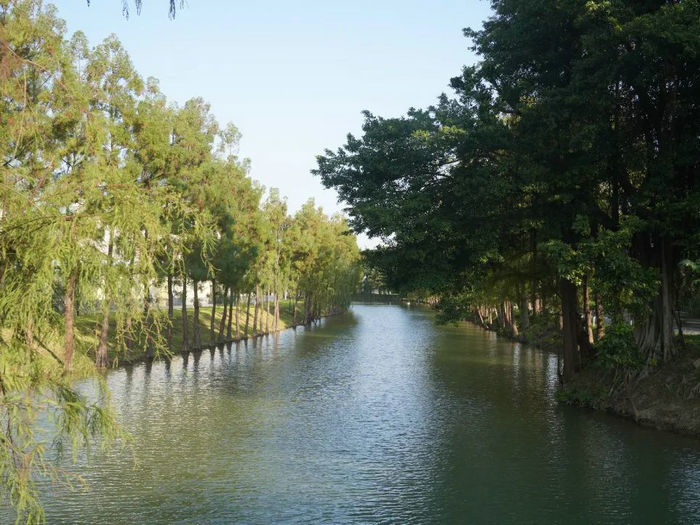 伦教街道乌洲涌涌粮库路河段景观。.jpg