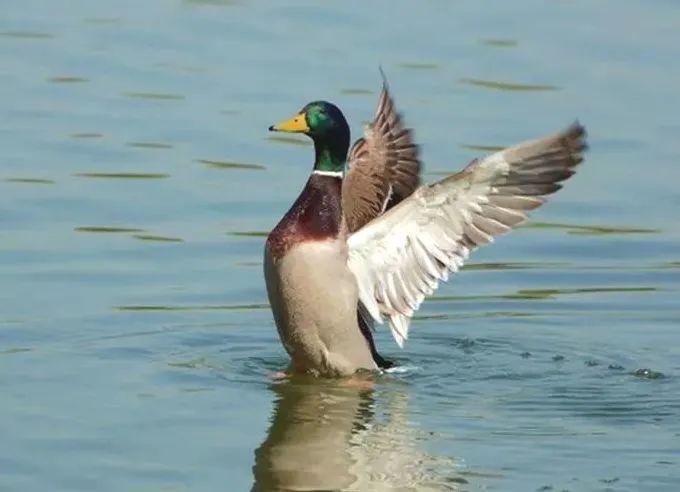 shundeplus/images/article/2023/01/06/ca49e20230106094825948128.jpg 微信图片_20230106094809.jpg