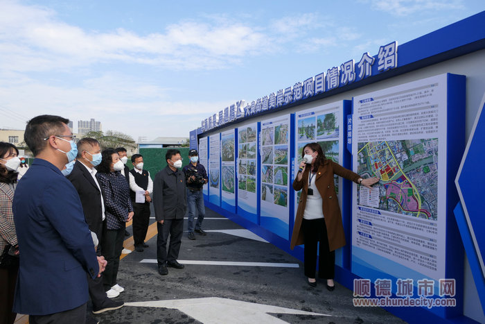 大良街道美岸示范项目情况介绍。.jpg
