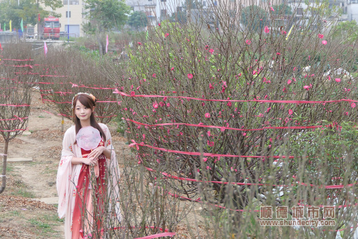 快來打卡勒流連杜桃花節(jié)，贏取豐厚獎勵！.jpg