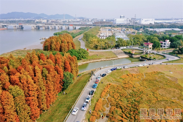 圖一：“陽光與鹿”.jpg