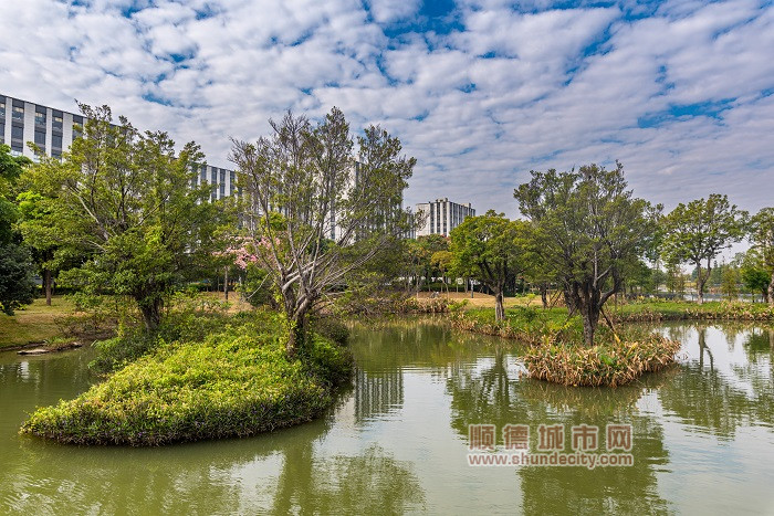 图3：琴湖湿地公园_副本.jpg